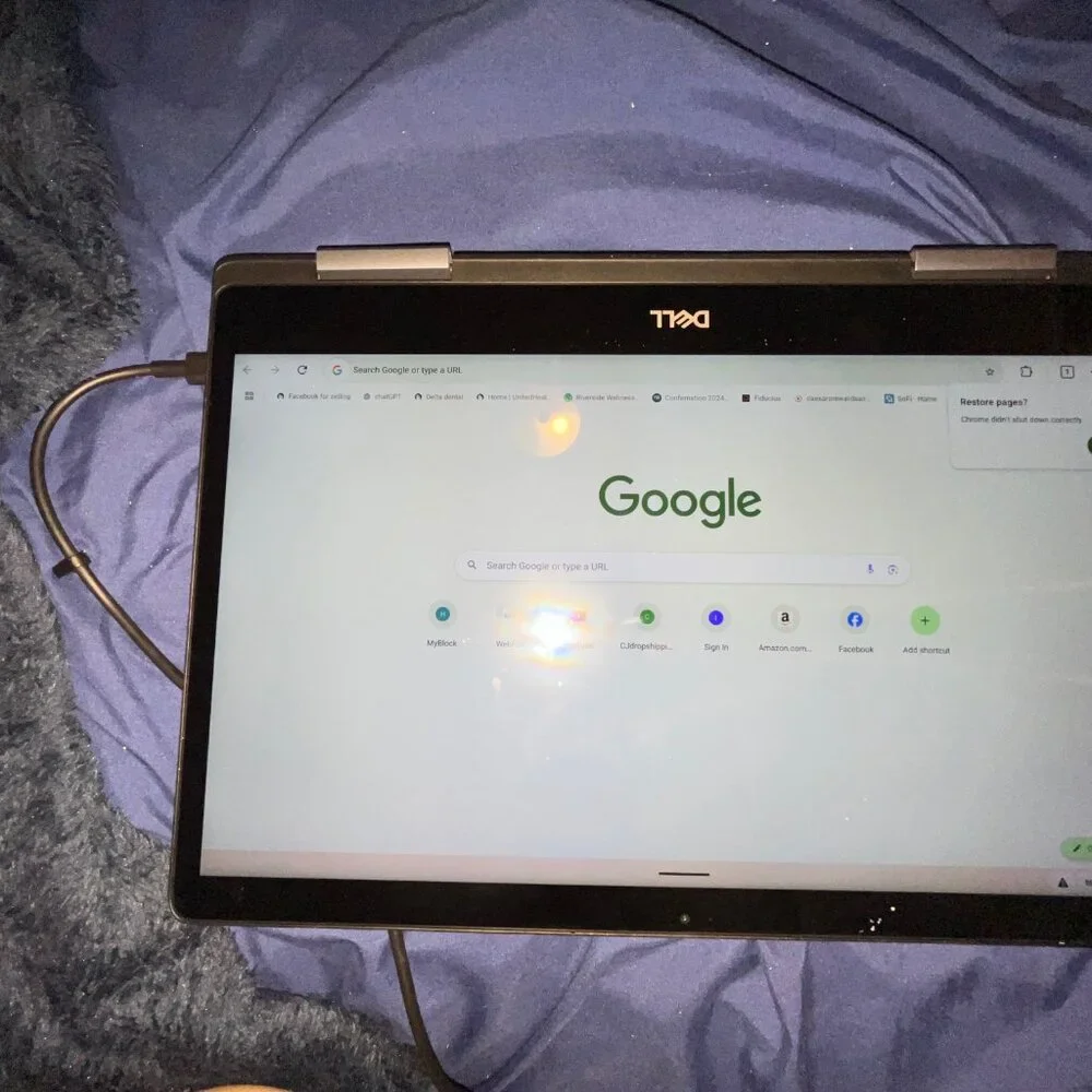 Dell Chromebook 11 3100